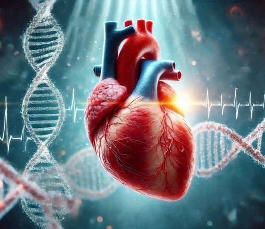 ADN-ul, busolă pentru inimă: Cum pot mutațiile genetice să prezică riscul cardiac la diabetici